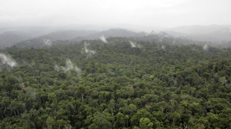 L’exceptionnelle biodiversité de la Guyane menacée par le changement climatique