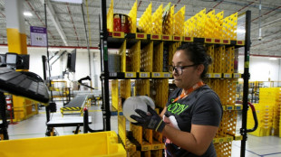 El regulador denuncia que Amazon y MercadoLibre obstaculizan la libre competencia en M&eacute;xico