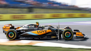 Norris upstages Verstappen in Dutch Grand Prix practice