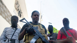 Contrabando de armas desde EEUU est&aacute; detr&aacute;s de la violencia en Hait&iacute;