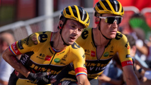 Roglic accuses Wright after Vuelta-ending crash 