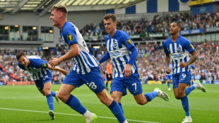 Brighton relish 'incredible' rise from exile to Europa League