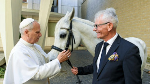Pferdezüchter schenkt dem Papst einen Vollblutaraber