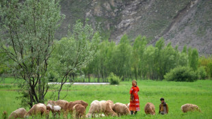 Regierung Scholz plant keine weiteren Afghanistan-Flüge vor Ende der Amtszeit