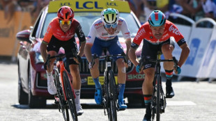 Tour de France: Matt&eacute;o Vercher, l'&eacute;closion du "Petit Voeckler"