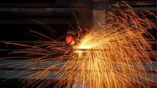 Acciaio Ue, 'con 15% dazi 1 milione di tonnellate a rischio'