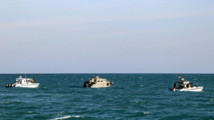 Attaques en mer Rouge: les Houthis in&eacute;branlables malgr&eacute; une mise en garde am&eacute;ricaine