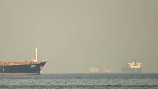 First loaded Iranian oil tankers exit Gulf since US blockade: Kpler