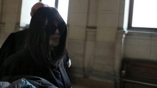Isabelle Adjani rejug&eacute;e pour fraude fiscale: de 18 &agrave; 24 mois de prison avec sursis requis en appel