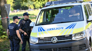 Suisse: chasse &agrave; l'homme en cours apr&egrave;s des tirs mortels lors d'une rave party