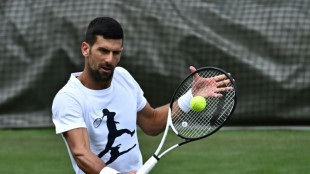 'Hungry' Djokovic fired up for more Grand Slam glory at Wimbledon