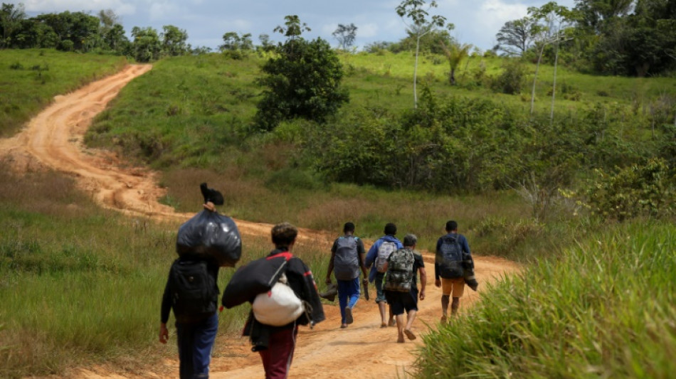 "Operaci&oacute;n &Eacute;xodo": mineros ilegales huyen de la Amazon&iacute;a brasile&ntilde;a