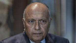 &Auml;gyptens Au&szlig;enminister besucht nach jahrelanger Eiszeit Syrien und die T&uuml;rkei