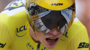 Vingegaard pulverises Pogacar in Tour de France Alpine time-trial