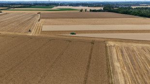 Prognose: Millioneneinbu&szlig;en f&uuml;r Getreidebauern wegen Hitze