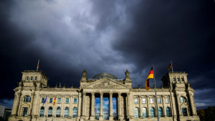 Parlamentsausschuss  empfiehlt  Teilwiederholung der Bundestagswahl in Berlin