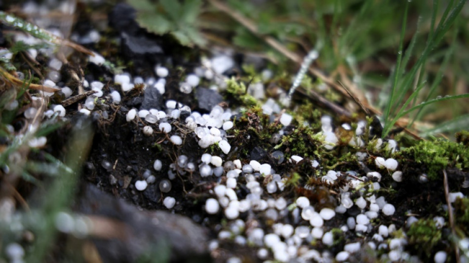 Dans la campagne belge, l'insidieuse pollution des granul&eacute;s plastiques