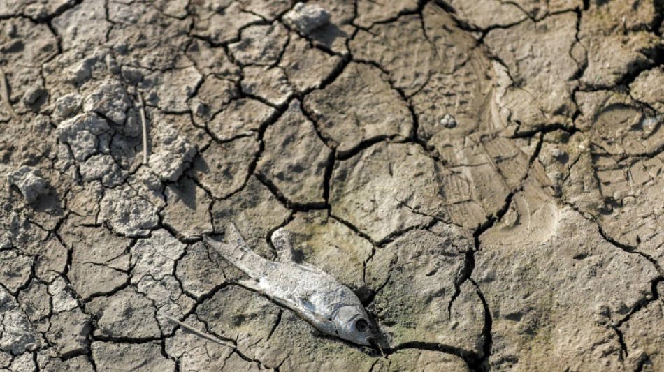 Dr&ouml;ge: Regierung handelt trotz Krise "entschlossen" beim Klimaschutz