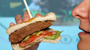 Namensverbot für Veggie-Burger geht in womöglich letzte EU-Verhandlungsrunde