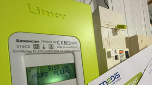 &Eacute;lectricit&eacute;: des &eacute;conomistes pr&eacute;conisent de mettre fin au bouclier tarifaire pour les plus ais&eacute;s