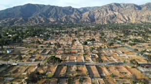 Brände in Los Angeles: US-Regierung reicht Millionenklage gegen Stromversorger ein