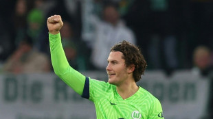 Wind scores two as Wolfsburg put six past Freiburg