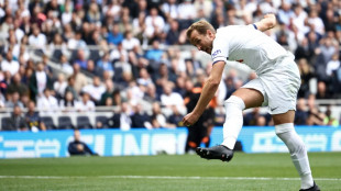 Bayern reach deal with Spurs to sign Kane: reports