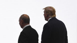 Cremlino, 'Putin pronto a eventuali colloqui con Trump'