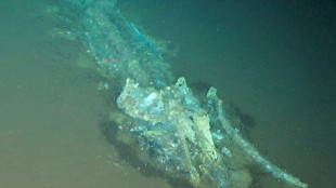 Cient&iacute;ficos chinos descubren el mayor cementerio de ballenas en el mundo