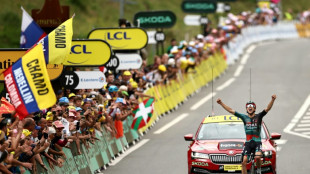 Hindley takes Tour de France lead as Pogacar suffers in Pyrenees