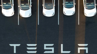 Bericht: Tesla setzt Bauvorhaben f&uuml;r Batteriefabrik in Deutschland aus