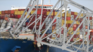 A Baltimore, des habitants choqu&eacute;s par l'effondrement de leur grand pont