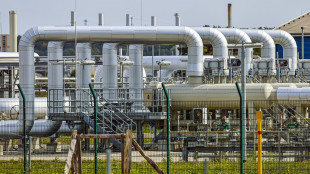 Il prezzo del gas chiude in rialzo a 32,33 euro