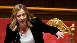 Meloni, energia il peso maggiore, serve risposta coordinata e rapida