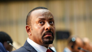Ethiopia PM warns Eritrea of 'severe consequences' if supports enemies 