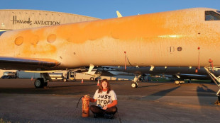 Ecologistas roc&iacute;an con pintura jets privados en aeropuerto londinense
