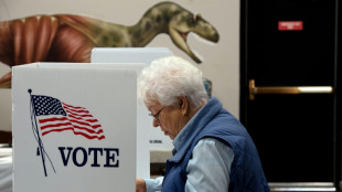 Bidens Demokraten k&ouml;nnen "rote Welle" bei US-Kongresswahlen verhindern