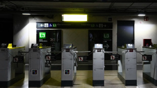 Operatore, ripristinato il 20% dell'elettricità in Spagna