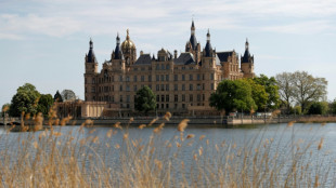 Polizeigesetz von Mecklenburg-Vorpommern teils verfassungswidrig