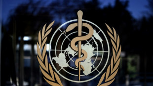 Ocho muertos por un posible brote del virus de Marburgo en Tanzania, seg&uacute;n la OMS