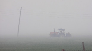 Elicottero precipita nel Mantovano, morto il pilota