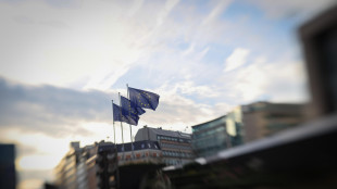 Ue, 'telefonata con Putin su base bilaterale, uniti nell'impegno su Kiev'