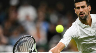 Djokovic on brink of Wimbledon quarters as Rybakina advances