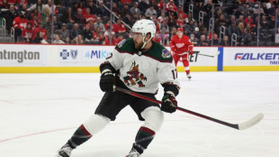 NHL forward Galchenyuk threatened police after incident: reports