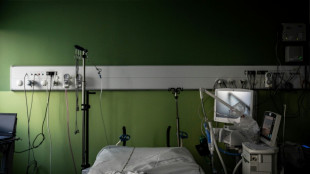 Francia reporta el primer caso de virus shamonda en humanos
