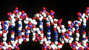 Dna solitario di Ötzi, diverso da quello dei suoi contemporanei