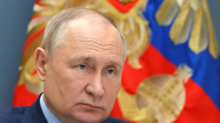 Putin anuncia que no ir&aacute; a la cumbre del G20 en Brasil en noviembre