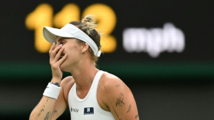 Vondrousova battles into Wimbledon semis after husband's pep talk