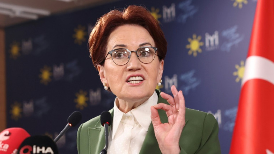 Oppositionsb&uuml;ndnis in der T&uuml;rkei zerbricht zwei Monate vor Pr&auml;sidentschaftswahl