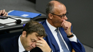Energie, Rente, Tankrabatt: &Ouml;konomen mit Fundamentalkritik an Bundesregierung